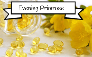 evening primrose for estrogen 