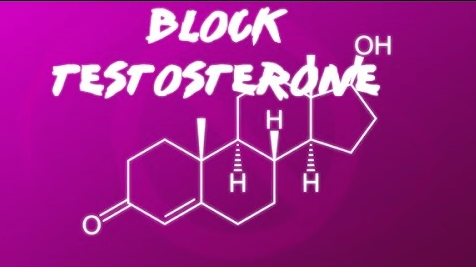 How To Block Testosterone