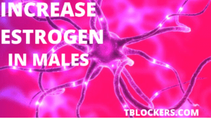 How to increase estrogen in males